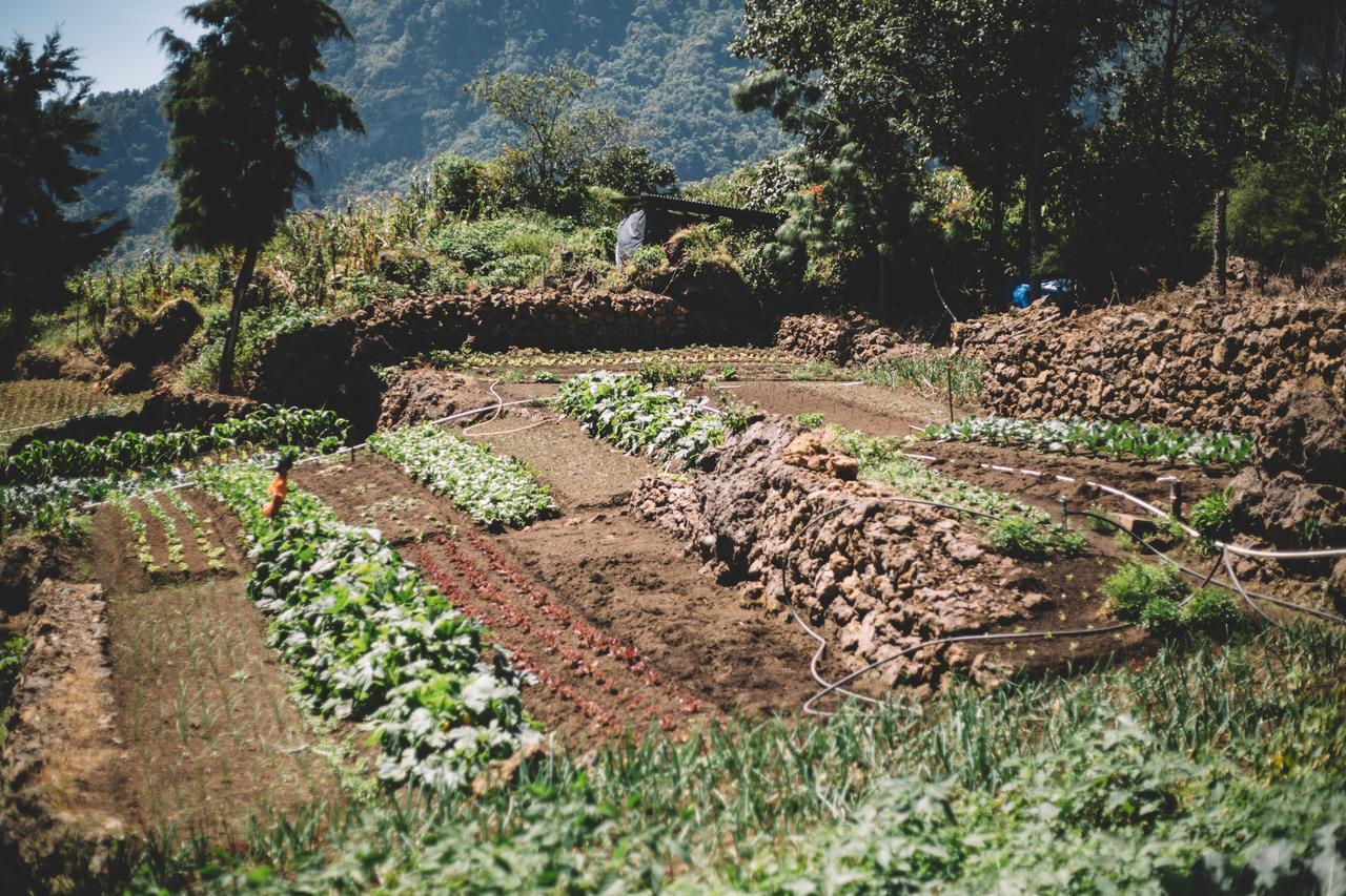 Las Cumbres Eco-Hotel, Termalismo Y Spa Quetzaltenango Dış mekan fotoğraf